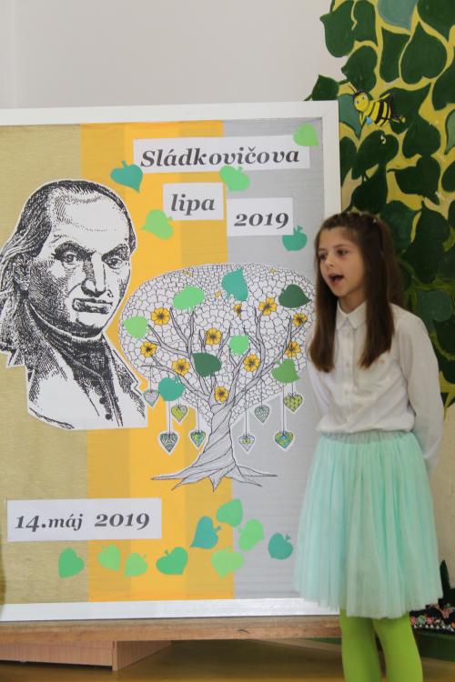 Sládkovičova Lipa 2019